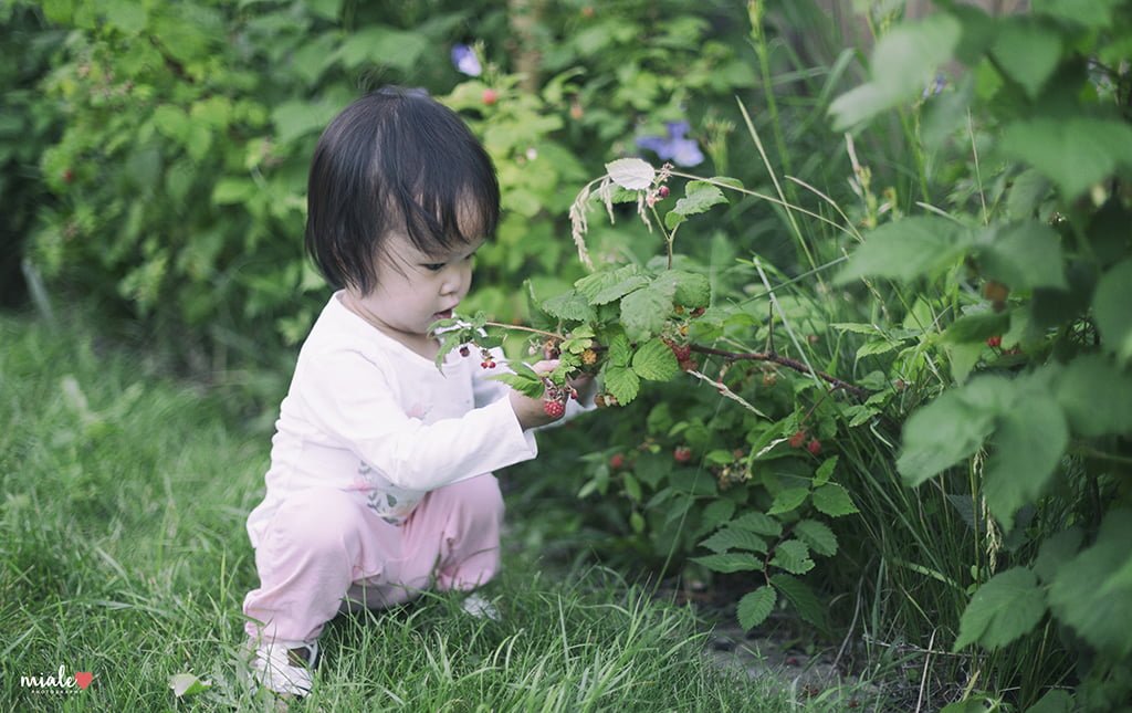 Mia Raspberry - Regina Photographer - Miale Photography