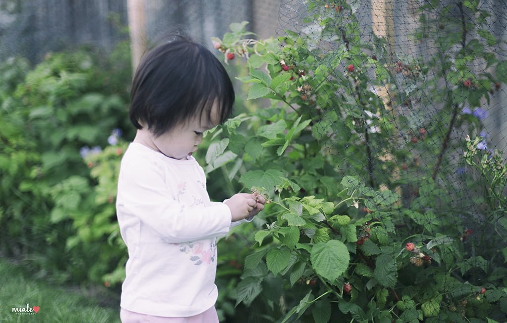 Mia Raspberry - Regina Photographer - Miale Photography