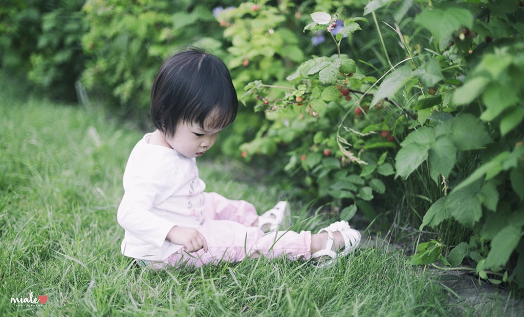 Mia Raspberry - Regina Photographer - Miale Photography