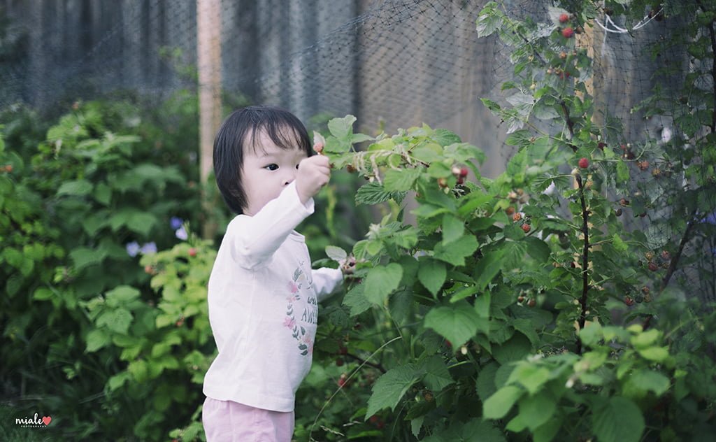 Mia Raspberry - Regina Photographer - Miale Photography