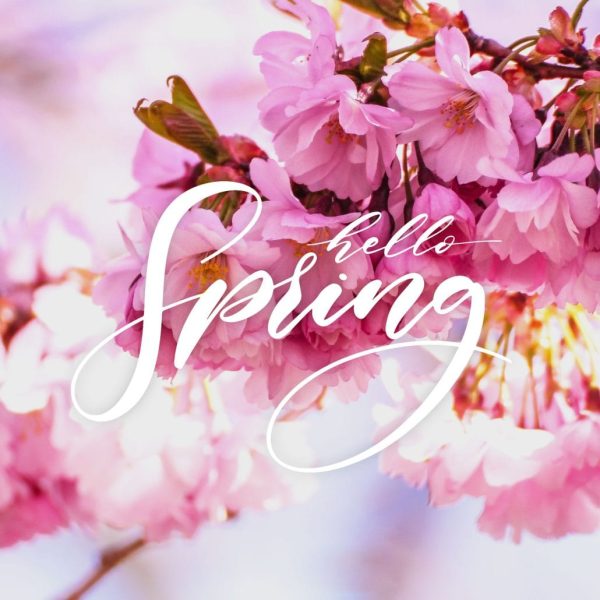 blog-hello-spring